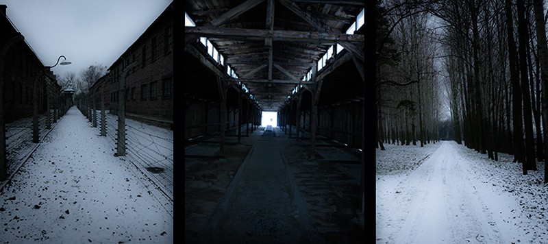 White silent hell 11